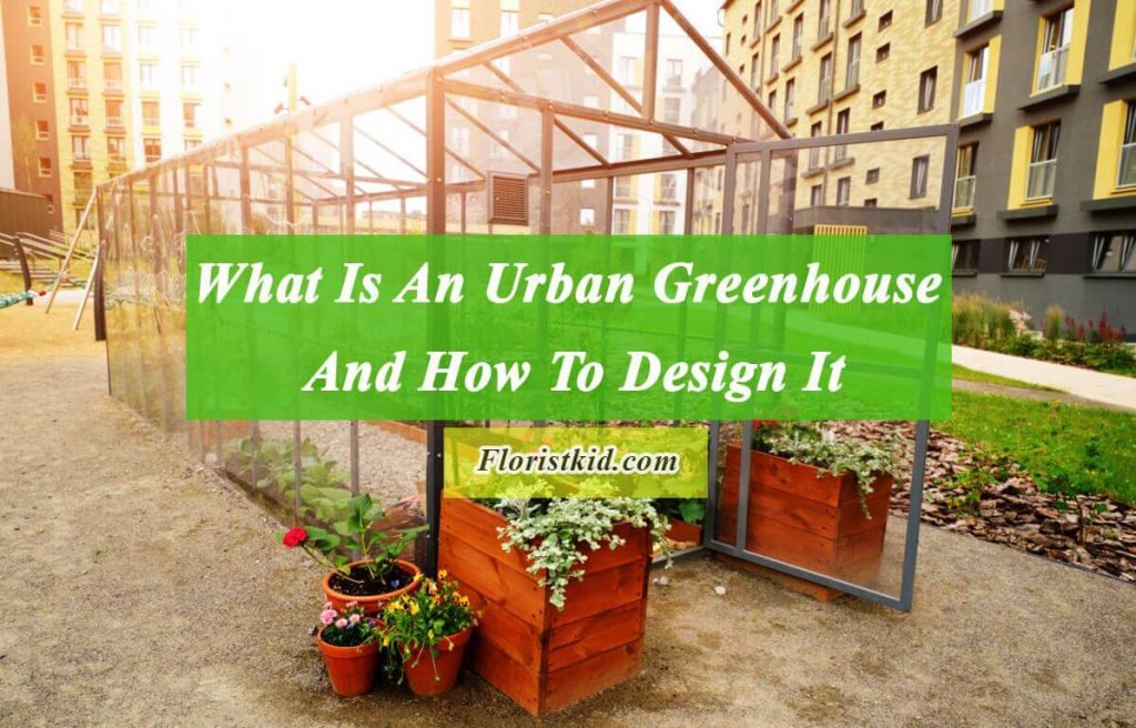What Is An Urban Greenhouse And How To Design It