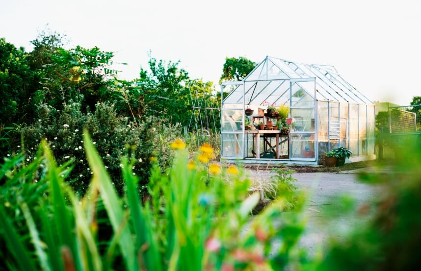 glass-greenhouse