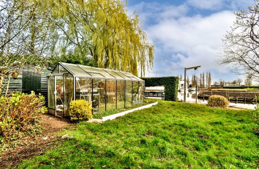 urban greenhouse in yard