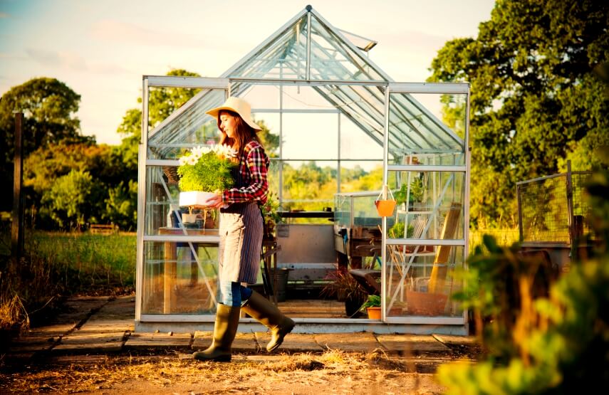 a woman and urban greenhouse