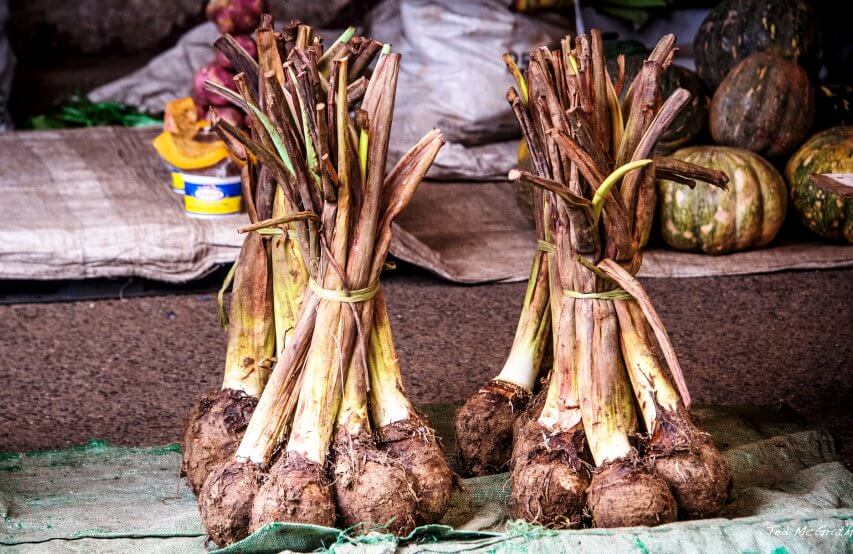 Taro roots