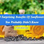 Surprising Benefits Of Sunflowers