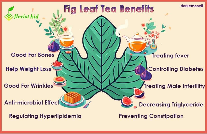 A list of fig leaf tea benefits