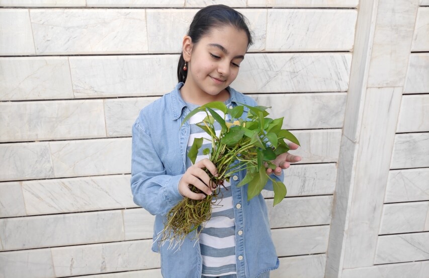 girl holding pothos cuttings