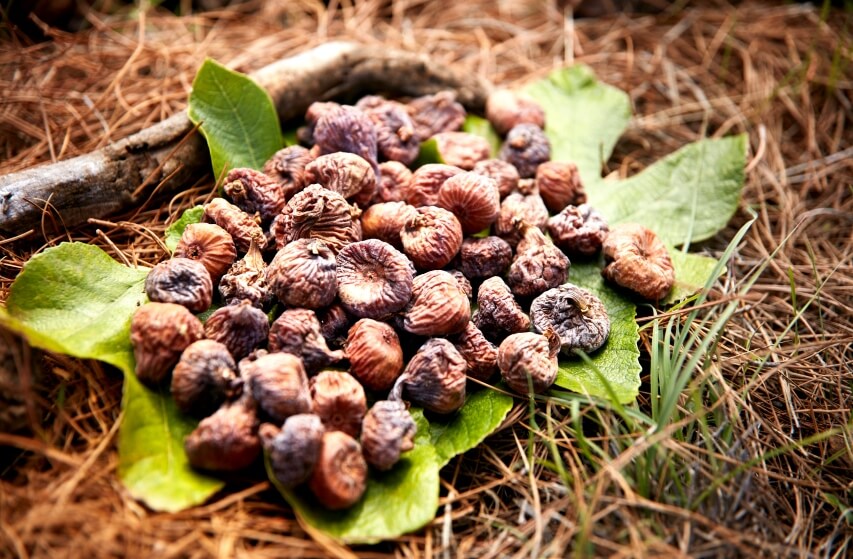 dried-figs