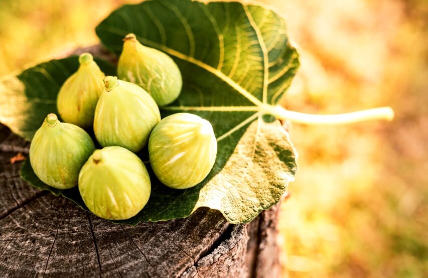 fresh-figs on leaf