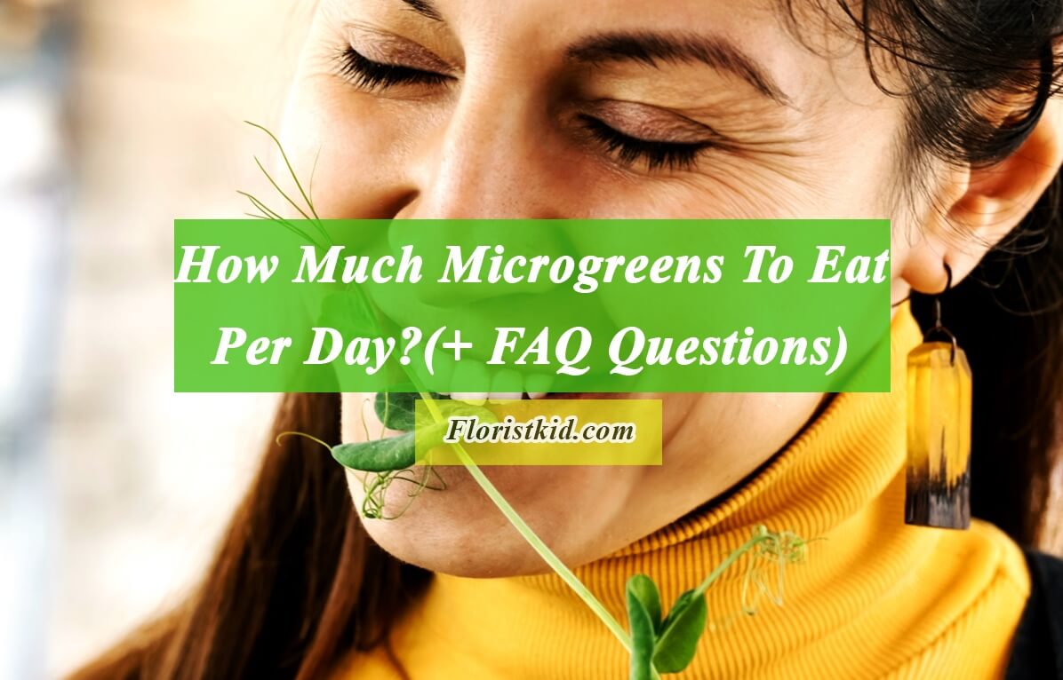How Much Microgreens To Eat Per Day