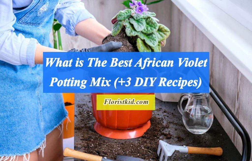 How To Make African Violet potting mix (3 Recipes)