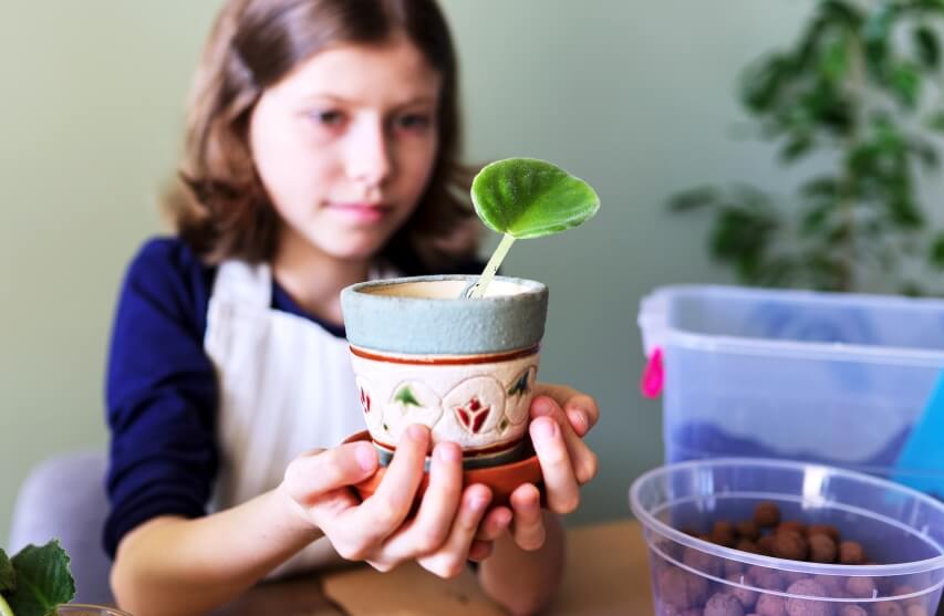 a girl with African Violet leaf in pot