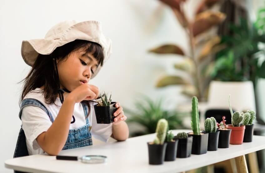 kid and cactus plant