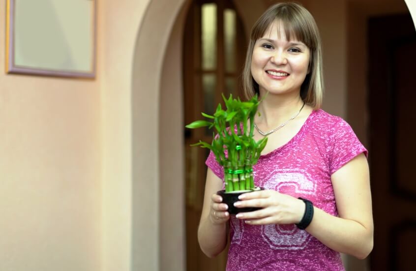 woman holding bamboo