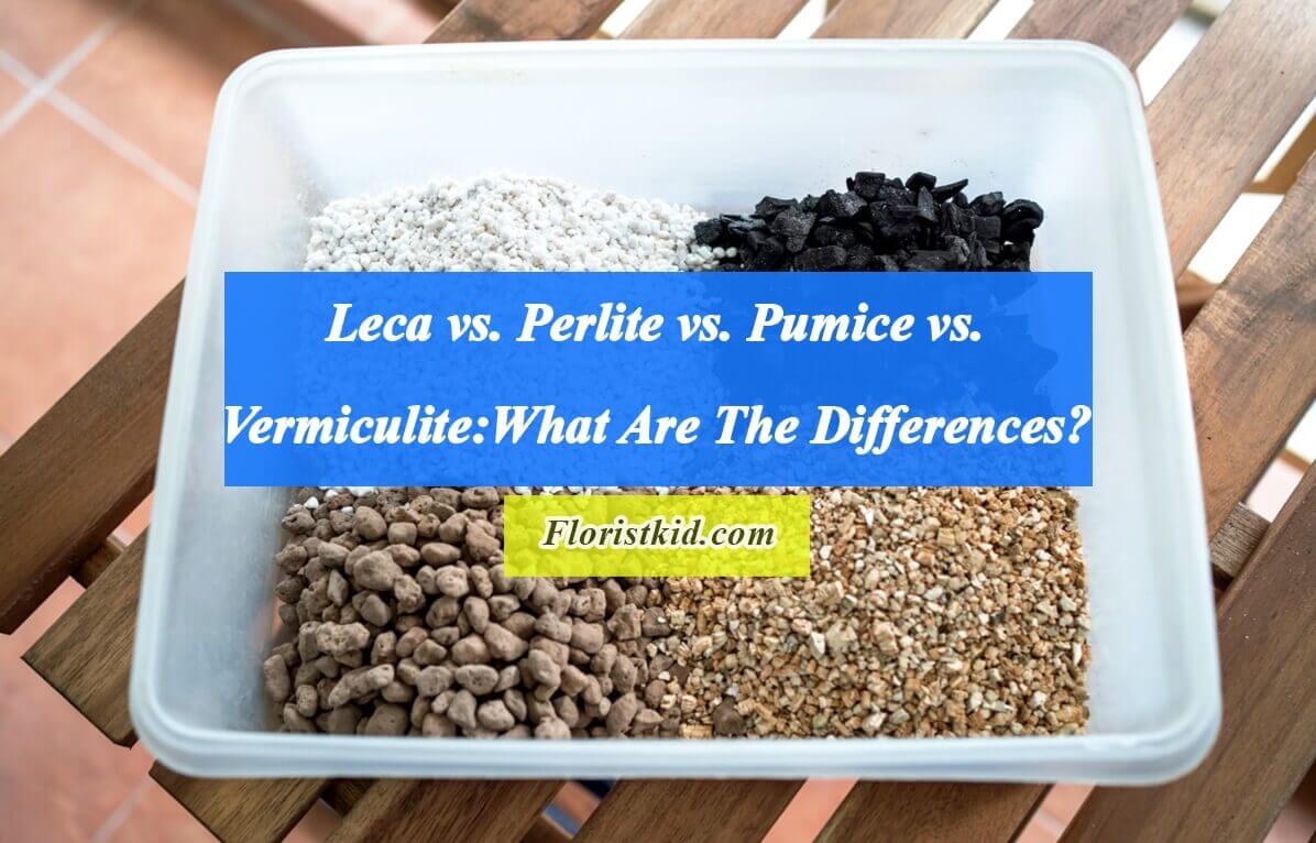 Leca vs. Perlite vs. Pumice vs. Vermiculite what are the differences
