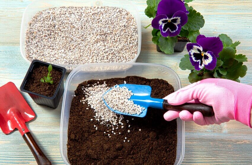 mix perlite with soil