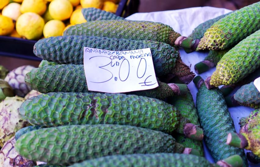 Monstera Deliciosa Fruit benefits