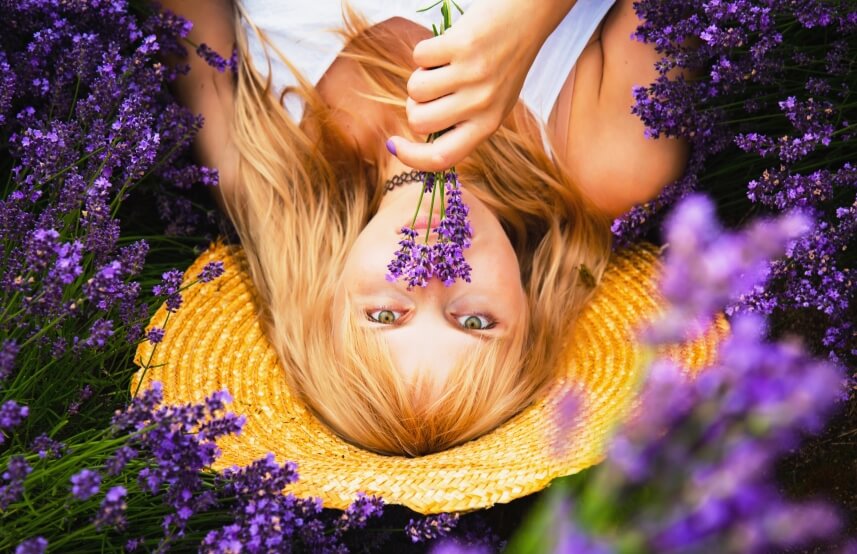 lavender flowers and girl