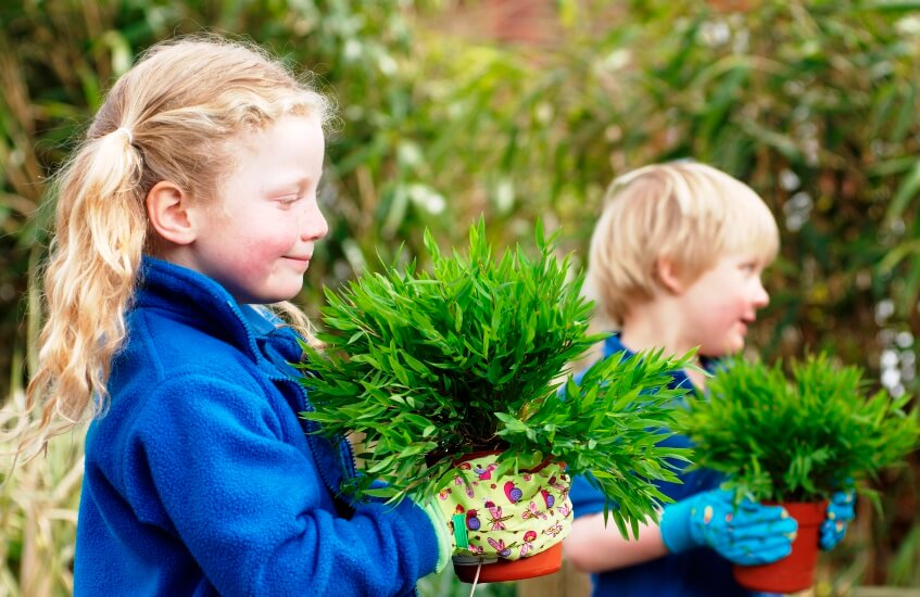 children growing plants
