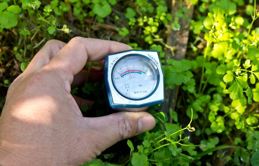 soil moisture meter