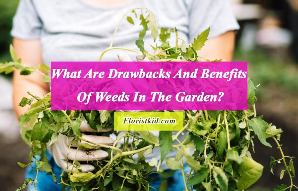 Benefits Of Weeds In The Garden