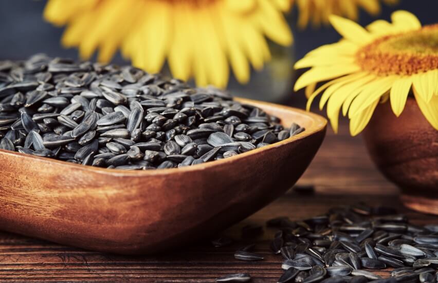 sunflower seeds benefits for female