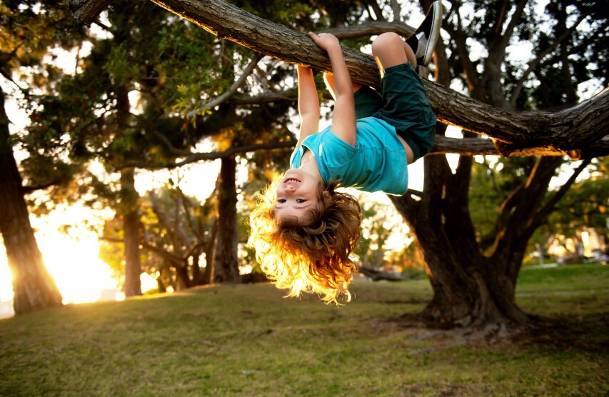 a child climbing a tree