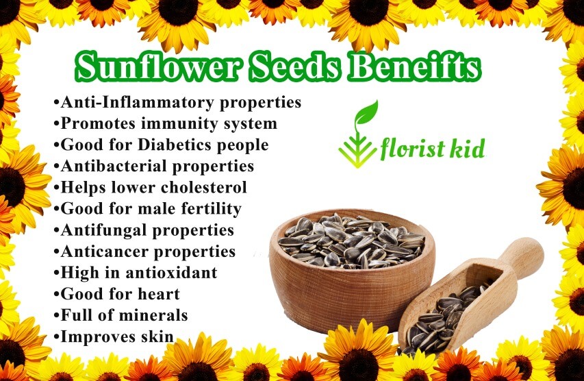 sunflower seeds health benefits