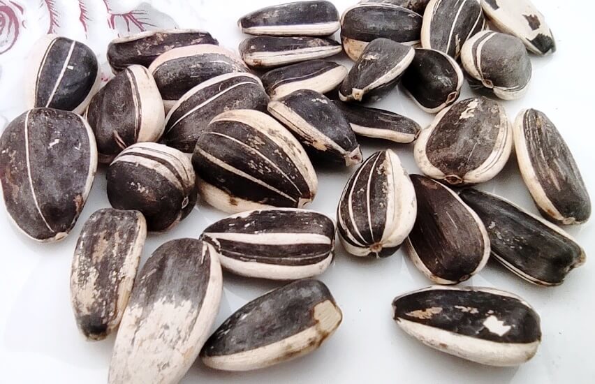 sunflower seeds benefits for male