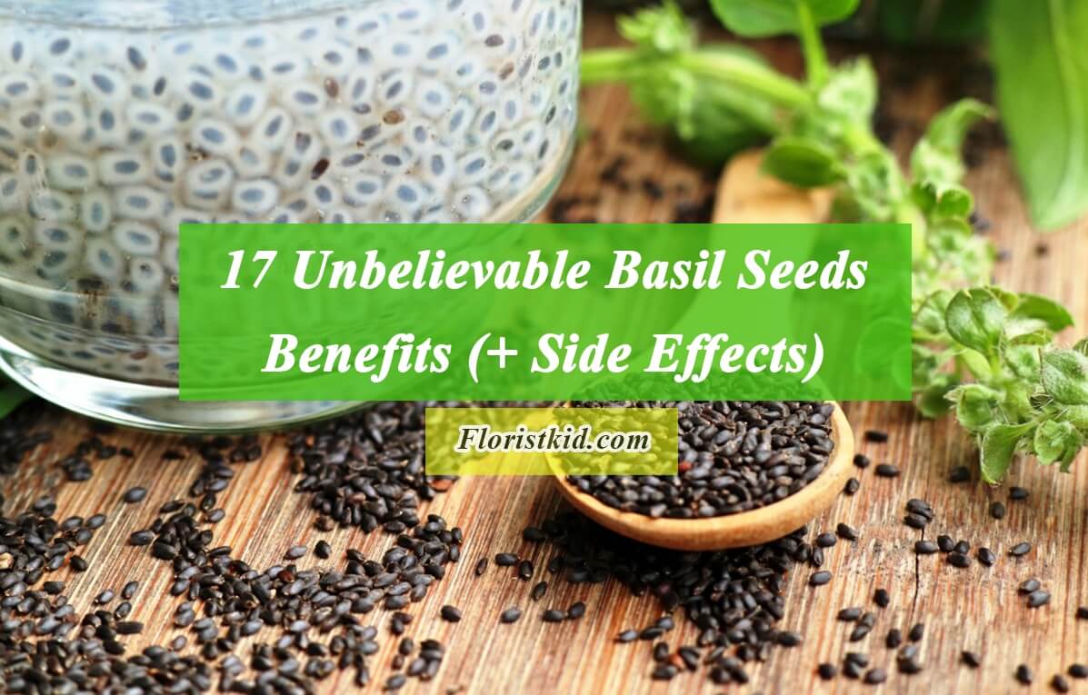 17 Unbelievable Basil Seeds Benefits (+ Side Effects)