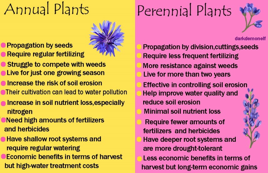 Annual plants vs. perennial plants table 