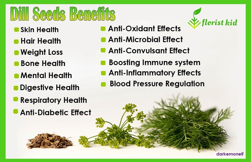 List of dill seeds benefits