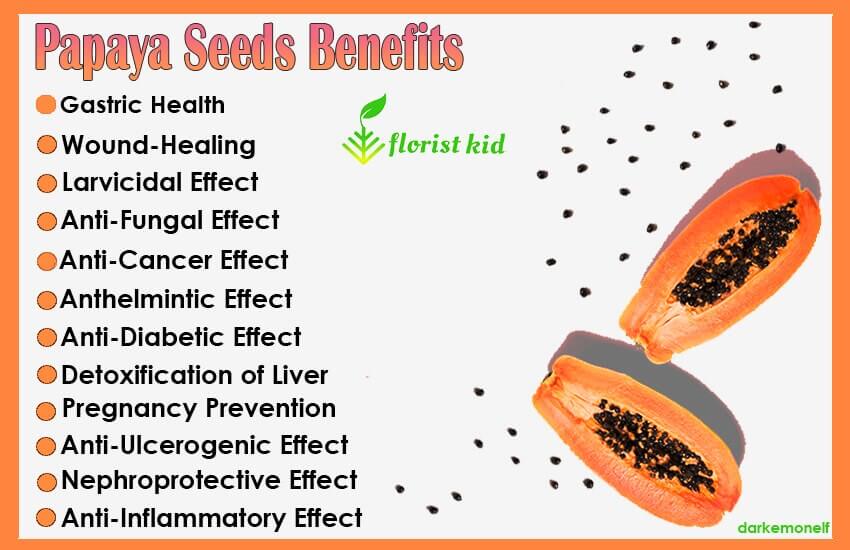 List of papaya seeds benefits 