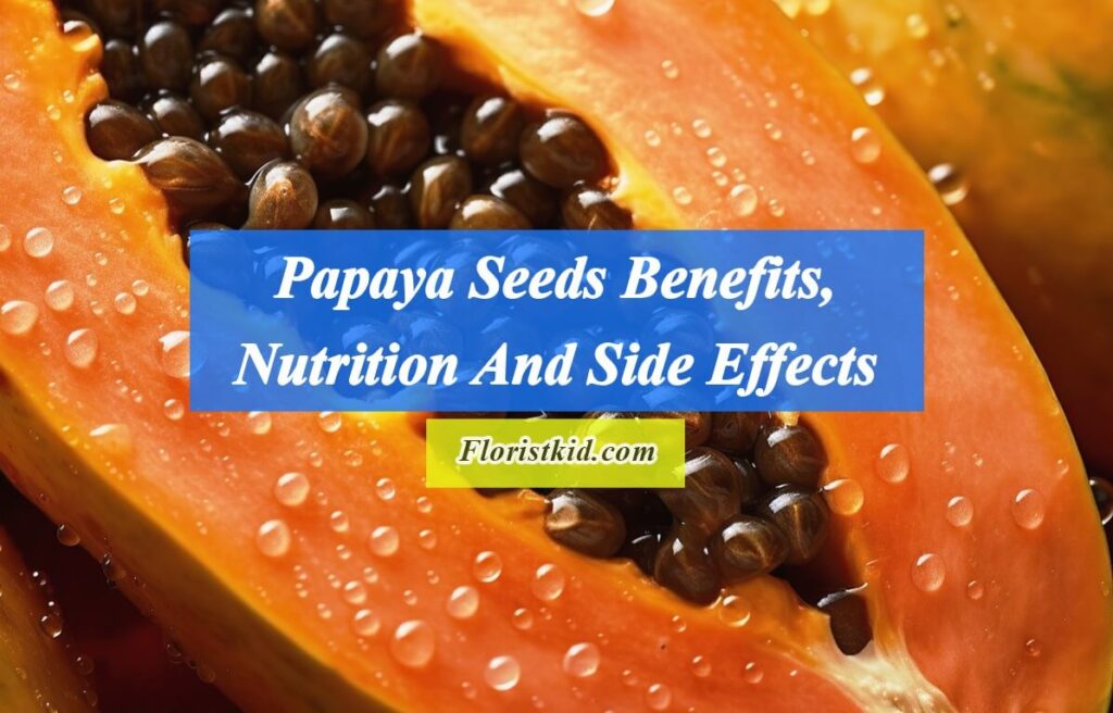 Papaya Seeds Benefits, Nutrition And Side Effects