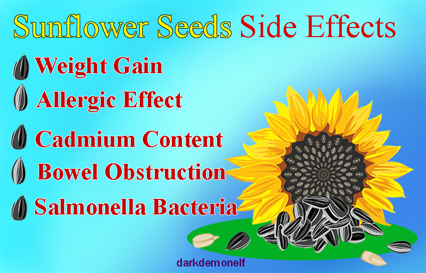 sunflower seeds side effects