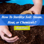 How To Sterilize Soil Steam, Heat, or Chemicals