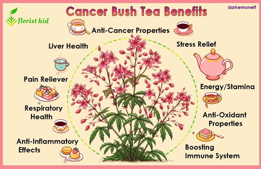List of cancer bush tea benefits