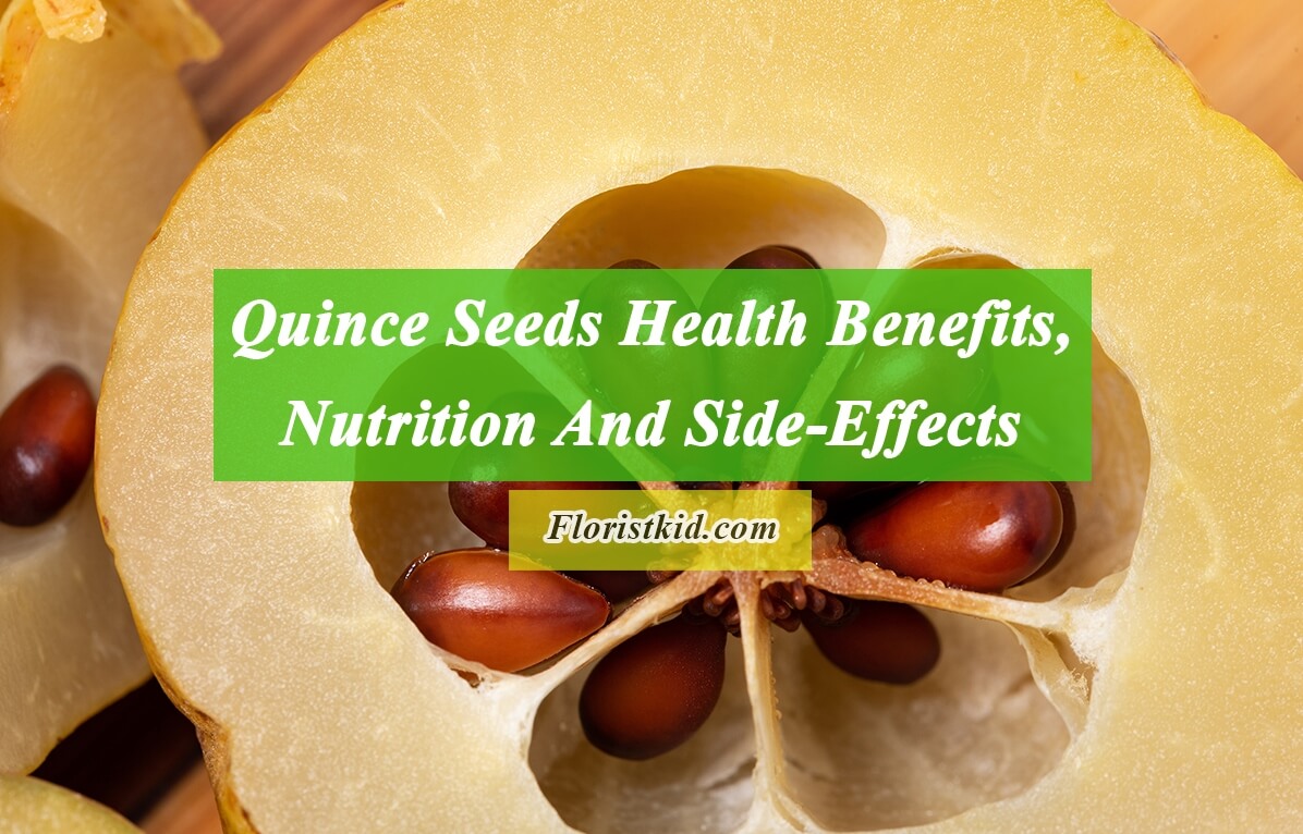 Quince Seeds Health Benefits, Nutrition And Side-Effects
