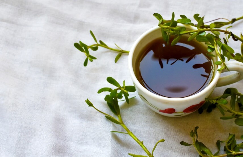 brahmi tea - Bacopa monnieri side effects
