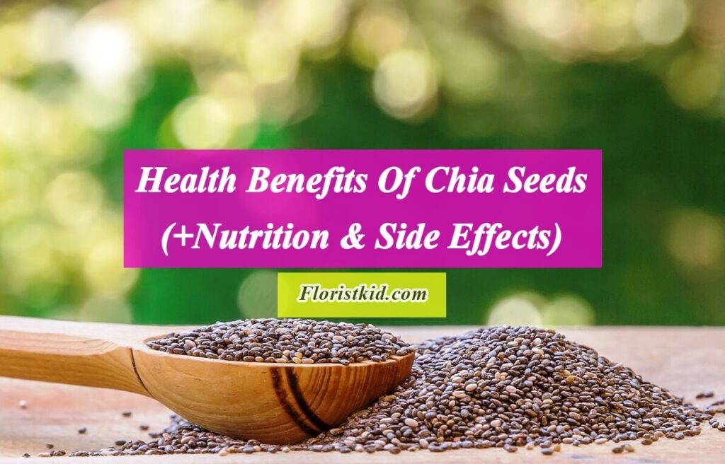 Health Benefits Of Chia Seeds(+Nutrition & Side Effects)