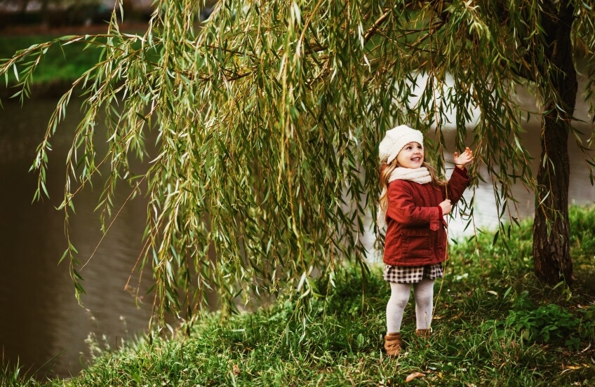girl-is-standing-next-to-a-willow-tree leaves