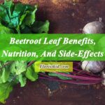 Beetroot Leaf Benefits, Nutrition, And Side-Effects
