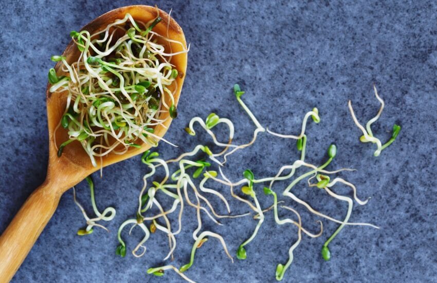 how to eat broccoli sprouts