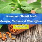 Fenugreek (Methi) Seeds Benefits, Nutrition & Side-Effects