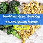 Nutritional Gems Exploring Broccoli Sprouts Benefits