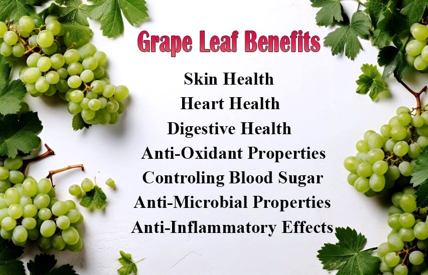 List of grape leaf benefits