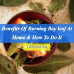 Benefits Of Burning Bay leaf At Home & How To Do It