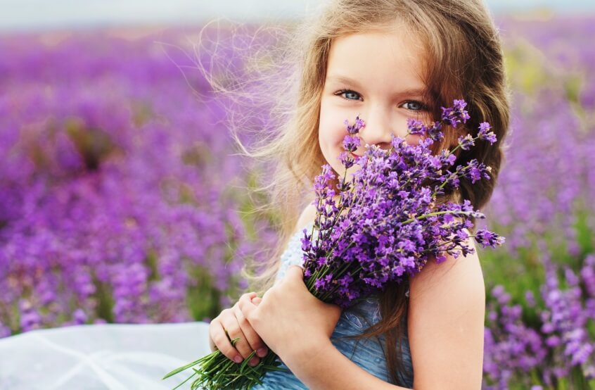 No, lavender is not poisonous to humans 