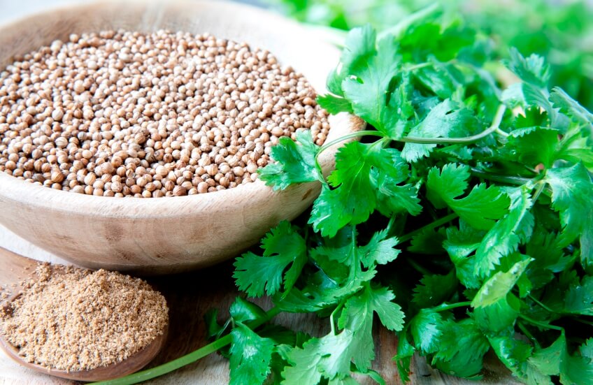 how to eat coriander seeds