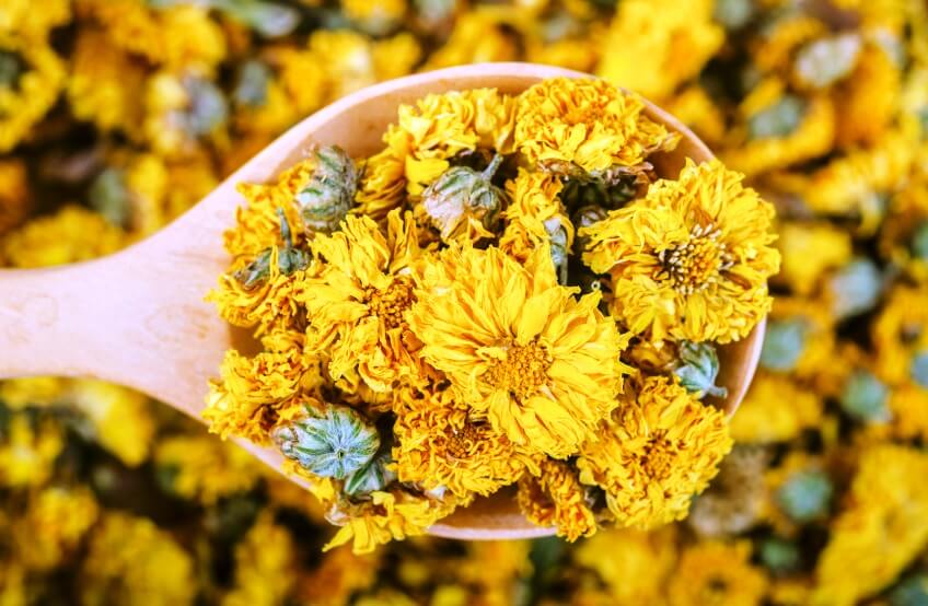 dried Chrysanthemum flowers