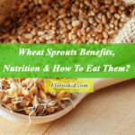 Wheat Sprouts Benefits, nutrition & How To Eat It (1)