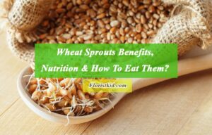 Wheat Sprouts Benefits, nutrition & How To Eat It (1)