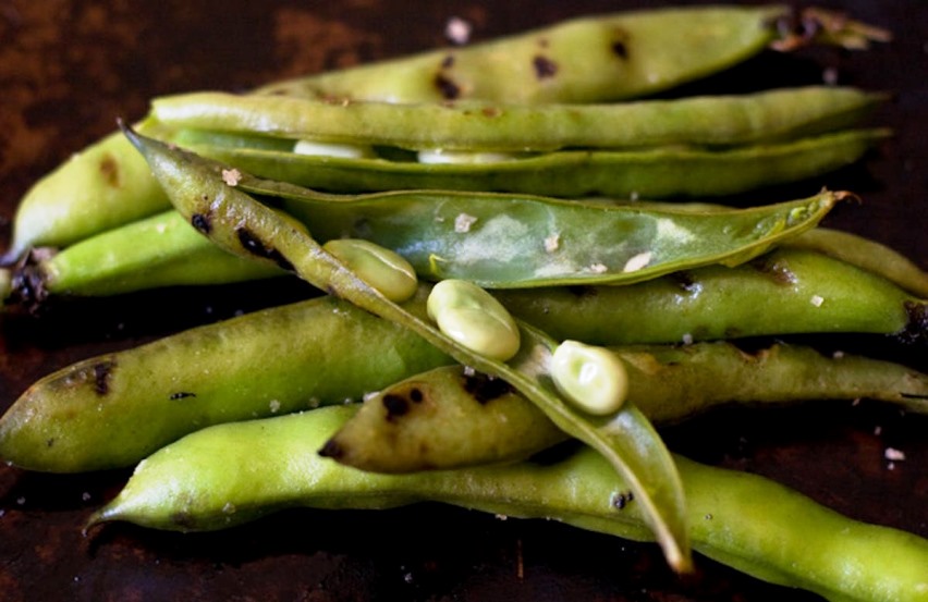grilled fava beans